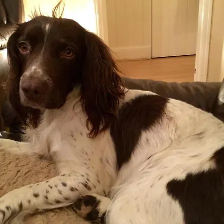 The Crossroads 3* New Ross