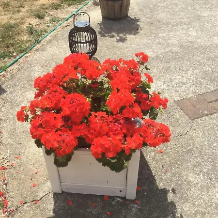 Panzió The Crossroads New Ross