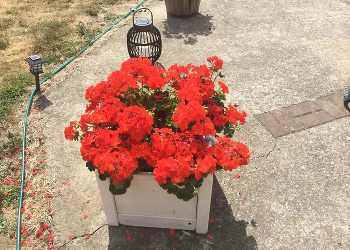 B&B The Crossroads 뉴 로스