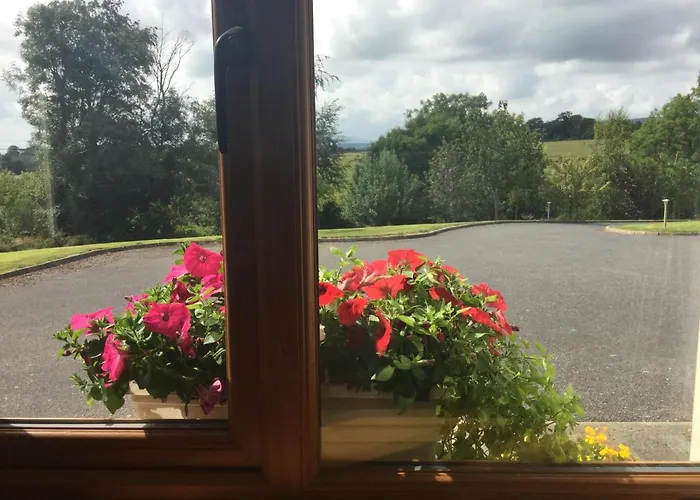 The Crossroads B&B 뉴 로스